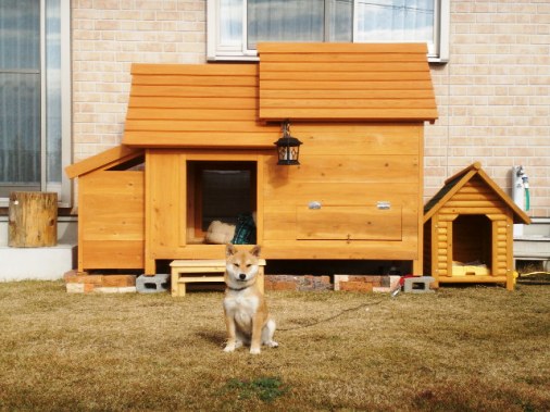快適に過ごせる犬小屋を販売 - 犬小屋製作工房Kの犬小屋ブログ