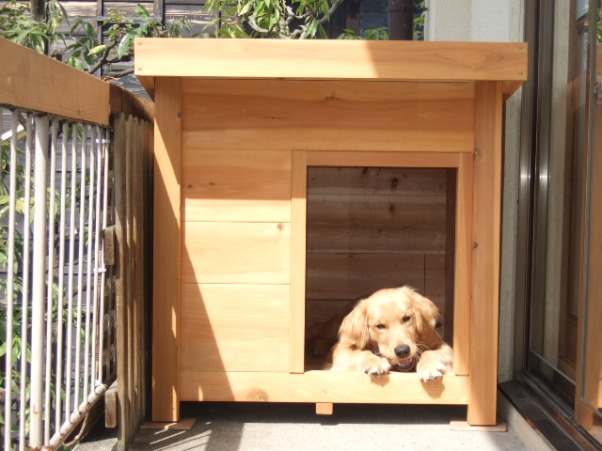 スペースに合わせた犬小屋 犬小屋製作工房kの犬小屋ブログ