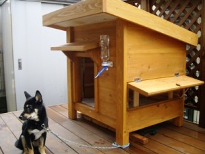 オシャレな犬小屋 快適な犬小屋 犬小屋製作工房kの犬小屋ブログ