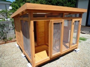 屋外猫ハウス