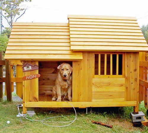 短納期 早者勝ち 巨大 犬小屋 好評継続中 Webrothers Com Br