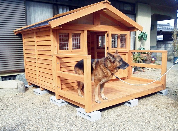 犬小屋 猫小屋 - 犬小屋製作工房Kの犬小屋ブログ