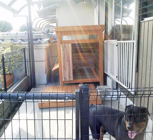 ロットワイラーの犬小屋 犬小屋製作工房kの犬小屋ブログ