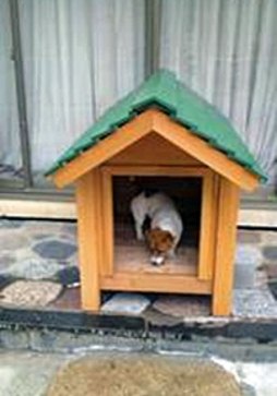 ジャックラッセルテリアの犬小屋