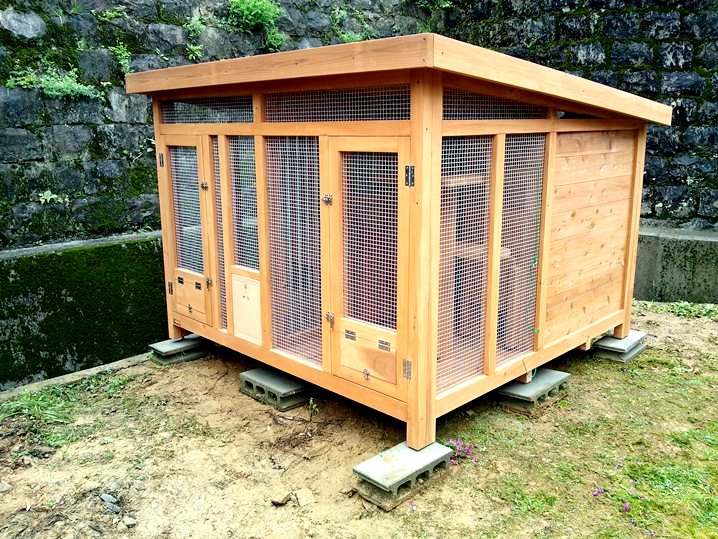 大型猫ハウス完成 犬小屋製作工房kの犬小屋ブログ