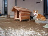 冬対策の犬小屋販売