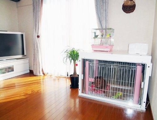 防音ケージカバー - 犬小屋製作工房Kの犬小屋ブログ