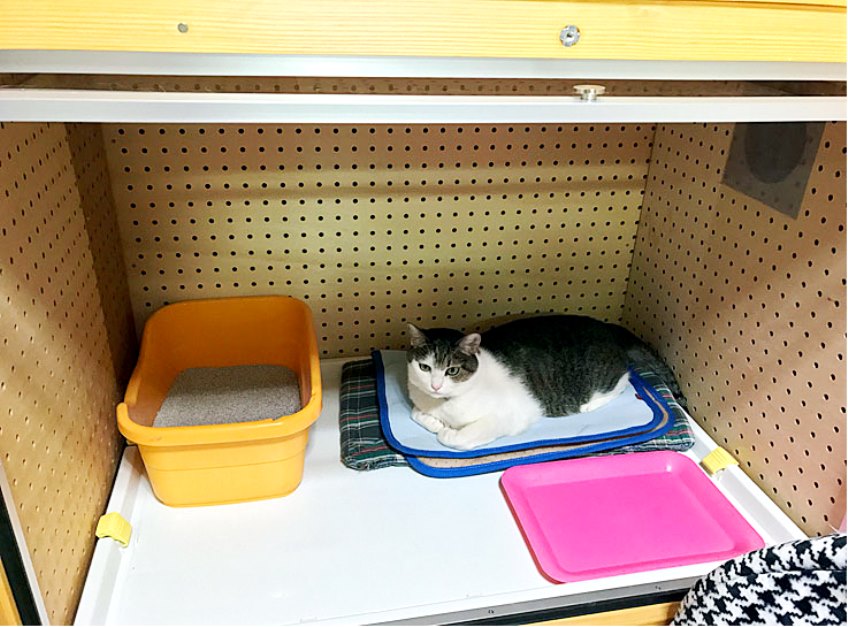 防音 犬小屋、猫小屋大変お待たせ致しました