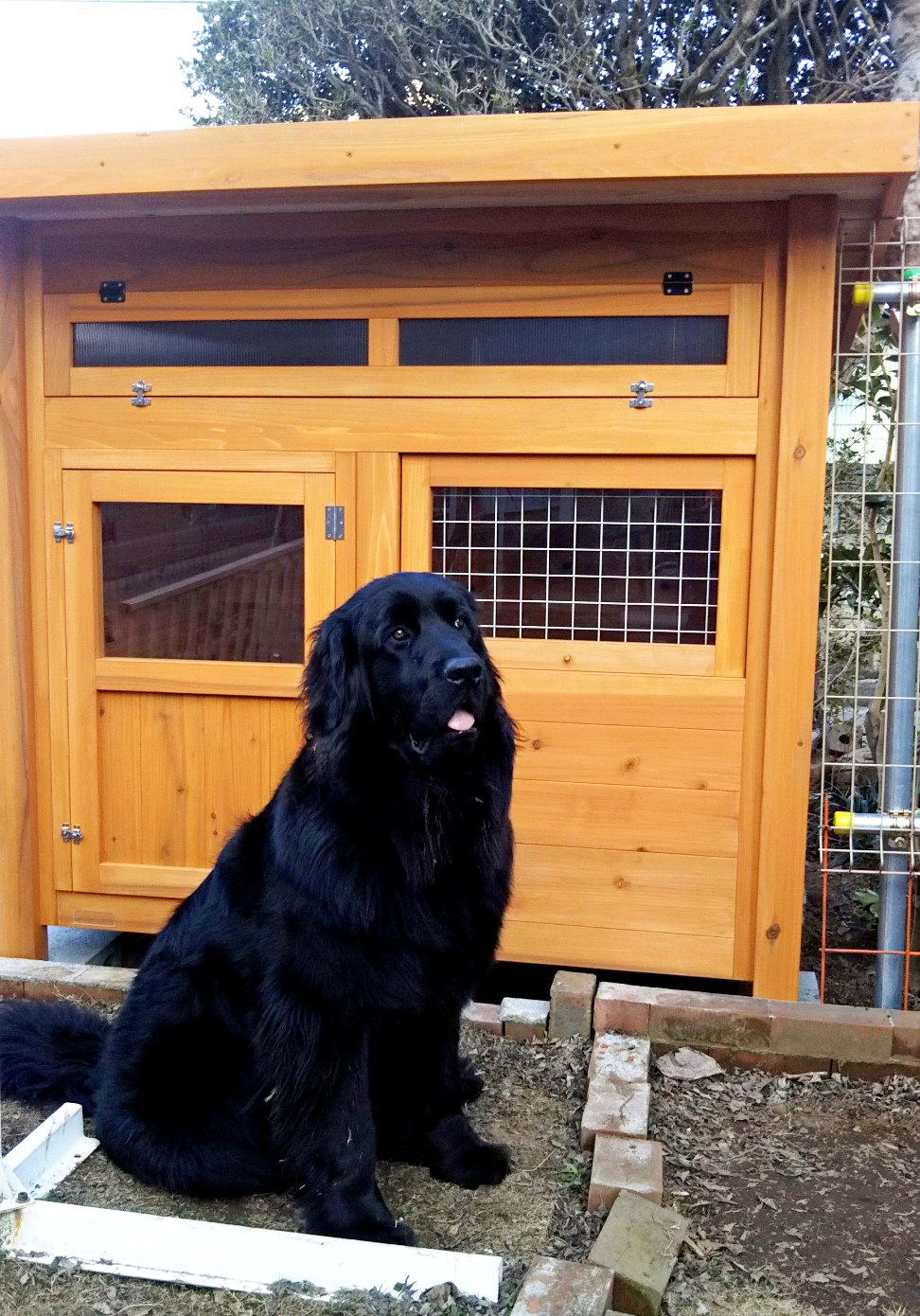 大型犬の犬小屋 - 犬小屋製作工房Kの犬小屋ブログ