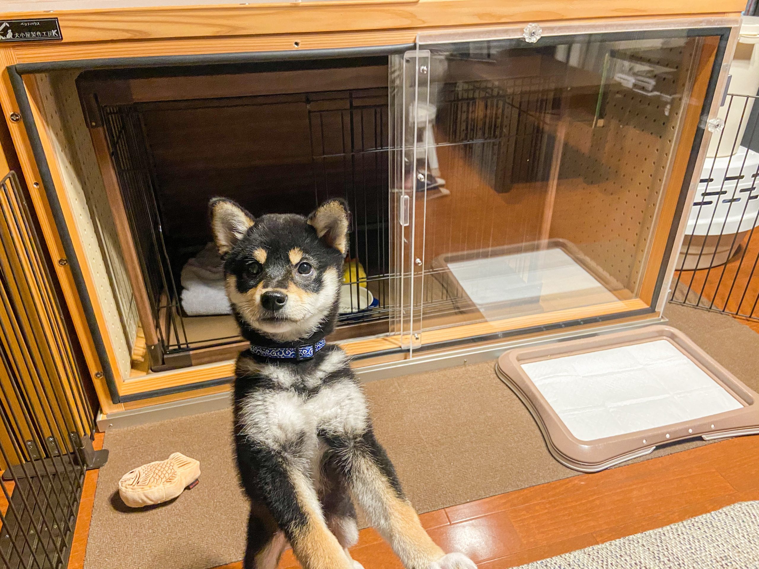 防音犬小屋 防音犬ケージ   オーダー製作猫の騒音