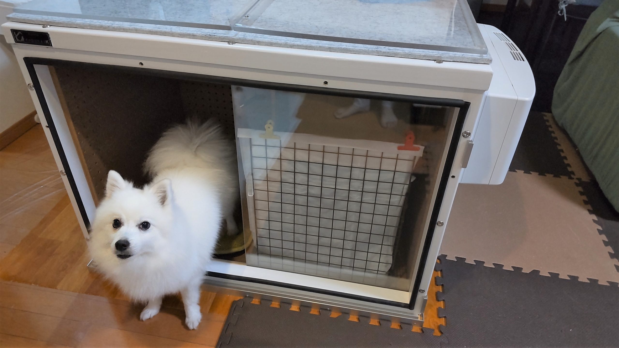 予約注文(9月〜12月)り　犬防音ケージ　吠え声 犬の要求吠え対策 - 犬小屋製作工房Kの犬小屋ブログ