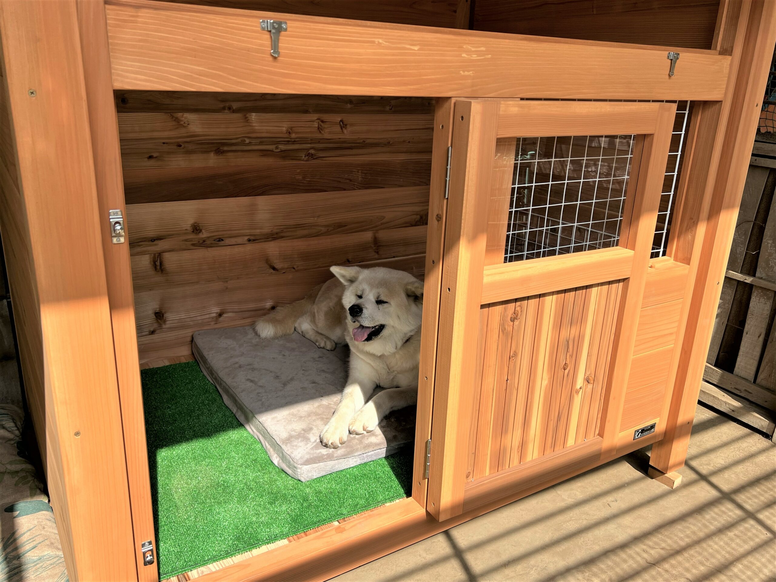 大型犬の犬小屋 - 犬小屋製作工房Kの犬小屋ブログ