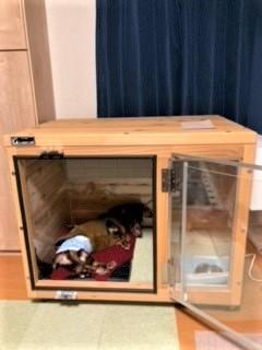 コロちびになります  防音犬小屋 ペット用防音室 遮音強化ガラス 高耐久合金フレーム 犬小屋 調節