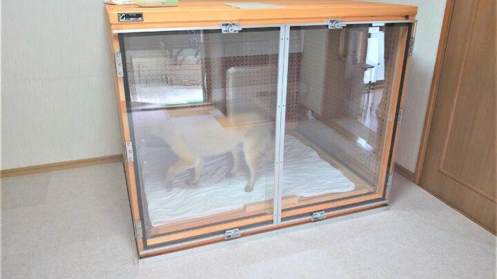老犬の無駄吠え