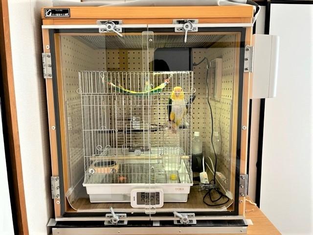 インコの防音ケージ - 犬小屋製作工房Kの犬小屋ブログ