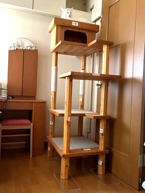 手作りキャットタワー - 犬小屋製作工房Kの犬小屋ブログ