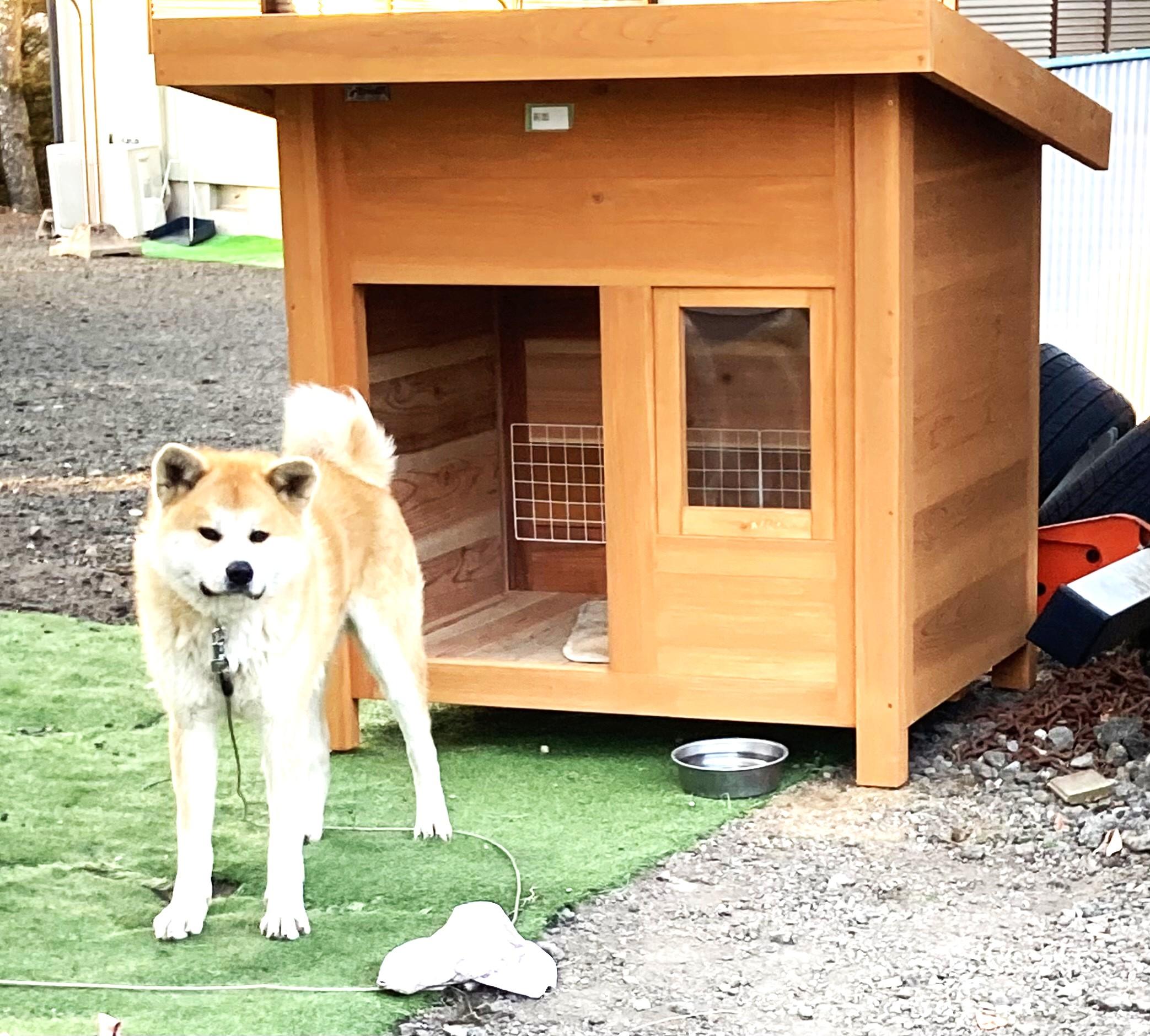 秋田犬の犬小屋 - 犬小屋製作工房Kの犬小屋ブログ