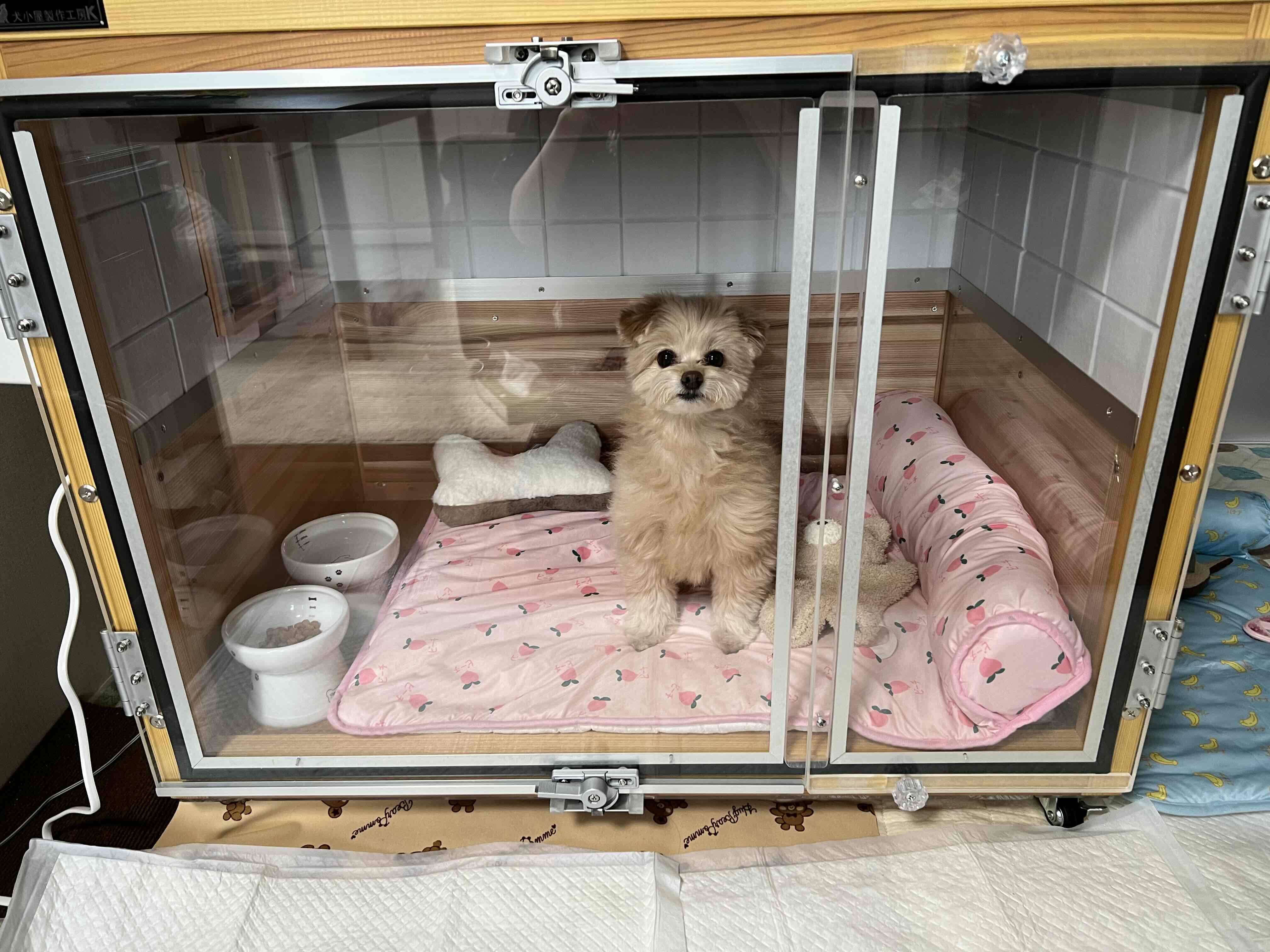 ポメプーの防音ケージ - 犬小屋製作工房Kの犬小屋ブログ