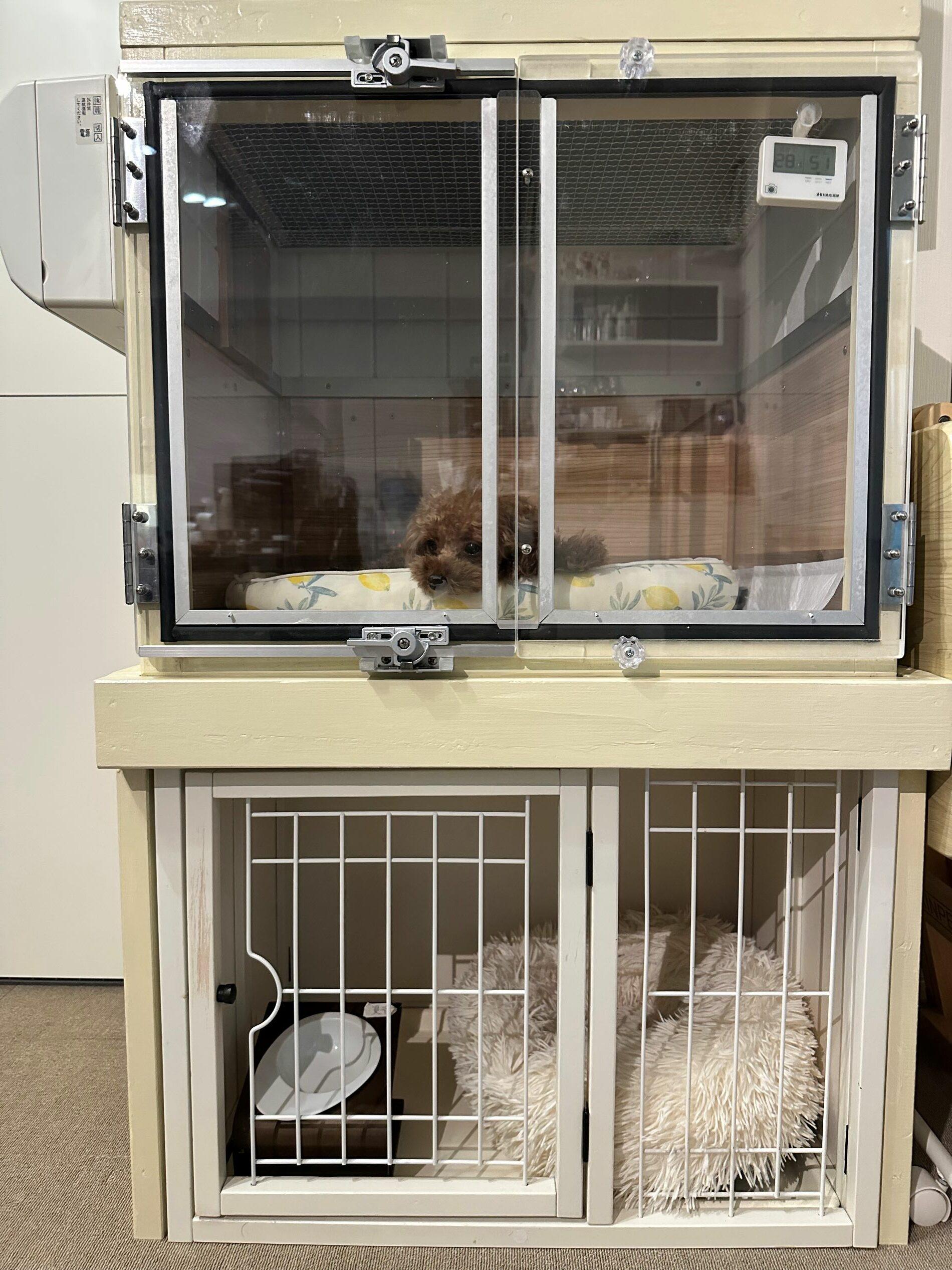 ケージの上に防音ケージ - 犬小屋製作工房Kの犬小屋ブログ