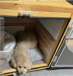 犬 夜泣き - 犬小屋製作工房Kの犬小屋ブログ